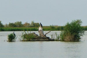 Украинская Венеция, Вилково